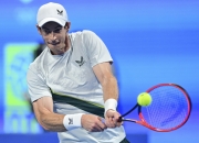 开云体育APP下载-关于意大利网球队强势世界网球队，穆雷送出助攻的信息