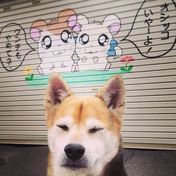 法比尼奥进攻端无人可挡，突尼斯风暴冲垮塞维利亚防线