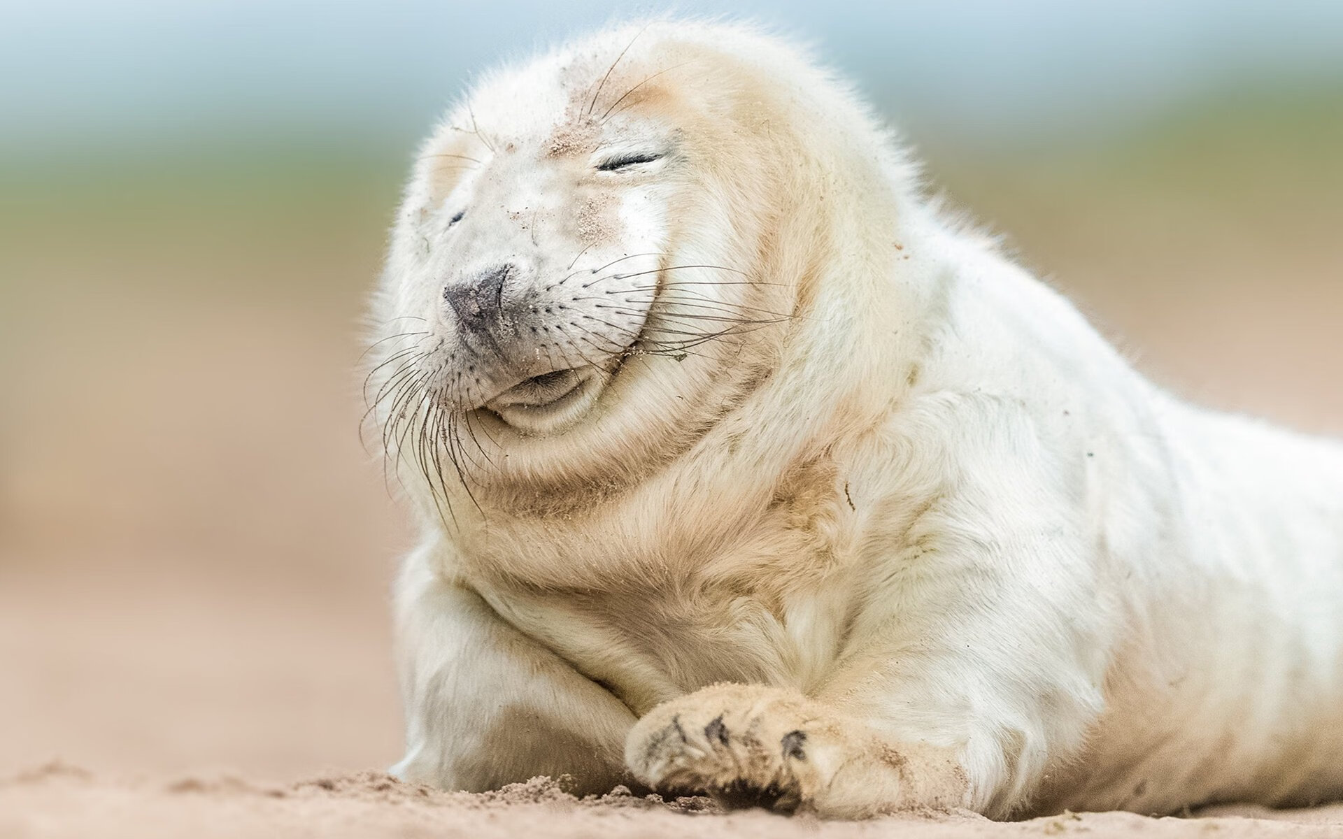 黄蜂对阵灰熊，布克全场最佳无争议