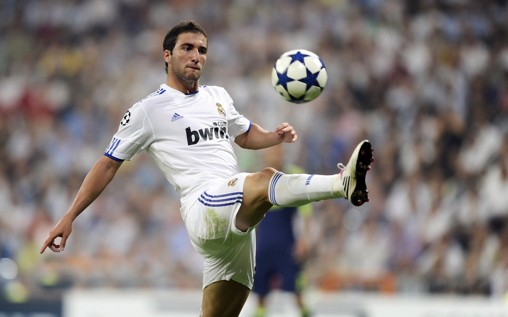 红与银的对决,当奥迪的机械美学,撞上Racing Bulls的青春风暴—F1意大利大奖赛唯一性启示录